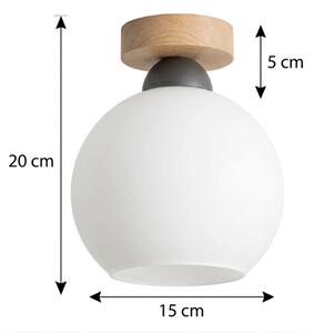 BRILAGI - LED Stropní svítidlo RETRO GLASS 1xE27/60W/230V pr. 15 cm dub/bílá