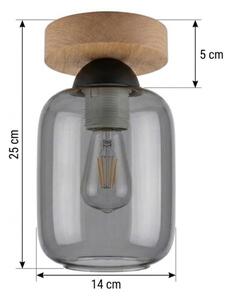BRILAGI - LED Stropní svítidlo R GLASS 1xE27/60W/230V pr. 14 cm dub/kouř šedá