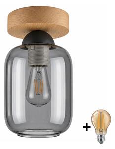 BRILAGI - LED Stropní svítidlo R GLASS 1xE27/60W/230V pr. 14 cm dub/kouř šedá