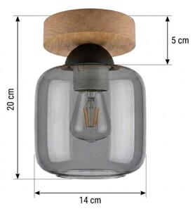 BRILAGI - LED Stropní svítidlo R GLASS 1xE27/60W/230V pr. 14 cm dub/kouř šedá