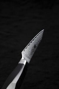 Nůž na loupání XinZuo Feng B32 3.5"