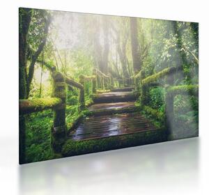 Skleněný obraz - dřevěné schody v lese (70x50 cm)