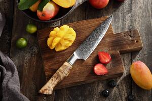 XinZuo Nůž na ovoce a zeleninu HEZHEN Master B30 5"