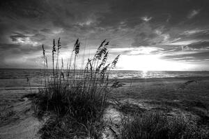 Fototapeta západ slunce na pláži v černobílém