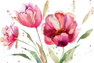 Tapeta tulipány v zajímavém provedení