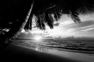 Fototapeta černobílá karibská pláž