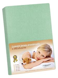 Jersey LUX Zelená /352 - 120x200 cm