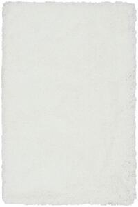Bílý koberec Genesis Powder Rozměry: 100x150 cm