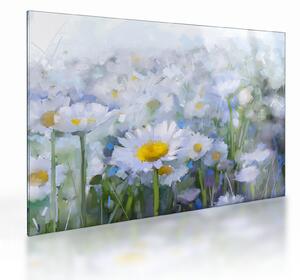 Skleněný obraz - V kopretinách (70x50 cm)