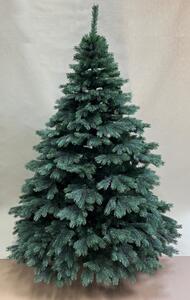 Borovice Aurora široká 3D- 170cm