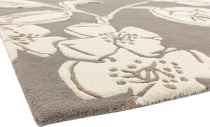 Hnědý koberec Blondie Devore Taupe Rozměry: 200x300 cm