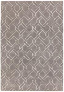 Šedý koberec Rapun Fine Silver Rozměry: 120x170 cm
