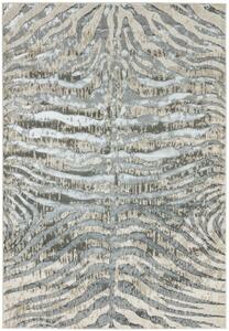 Šedý koberec Ston Zebra Rozměry: 200x290 cm