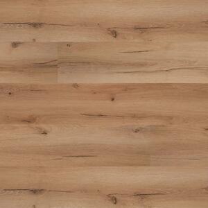Floor Forever Grandissimo Plus Click Rigid 0,55 Dub Achat 3028 2,08 m2