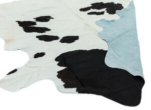 Černý koberec Banshee Black Rozměry: 180x240 cm