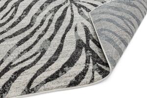 Šedý koberec Dinamo Zebra Grey Rozměry: 120x170 cm