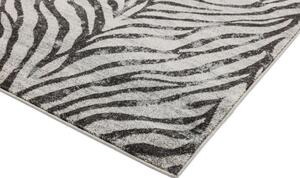 Šedý koberec Dinamo Zebra Grey Rozměry: 120x170 cm