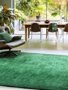 Zelený koberec Piemo Green Rozměry: 200x290 cm