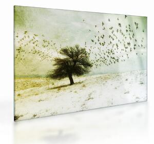 Skleněný obraz - Malované hejno ptáků (70x50 cm)
