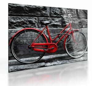 Skleněný obraz - Historický bicykl (70x50 cm)