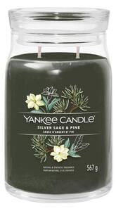 Yankee Candle - Vonná svíčka SILVER SAGE & PINE velká 567g 60-90 hod