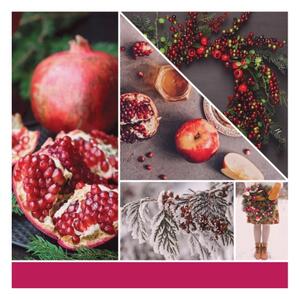 Yankee Candle - Vonná svíčka SPARKLING WINTERBERRY velká 567g 60-90 hod