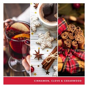 Yankee Candle - Vonná svíčka SPARKLING CINNAMON velká 567g 60-90 hod