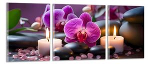 Obraz na plátně Orchideje se svíčkami