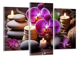 Obraz na plátně Zen kameny a orchideje