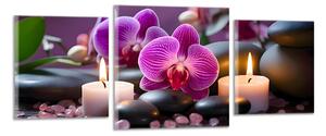 Obraz na plátně Orchideje se svíčkami