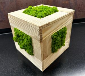 Mechová stolní dekorace 20 cm - kostka Velikost: 20x20cm