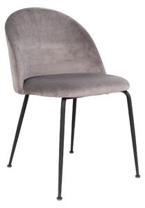 House Nordic Jídelní židle Geneve (Židle v šedém sametu s černými nohami\nHN1213)