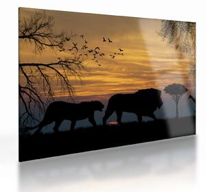 Skleněný obraz Safari (70x50 cm)