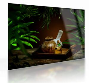 Skleněný obraz spa věcí (70x50 cm)
