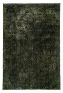 Nordic Experience Tmavě zelený koberec Malvaram 200x300 cm