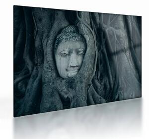Skleněný obraz - Thajská tvář (70x50 cm)