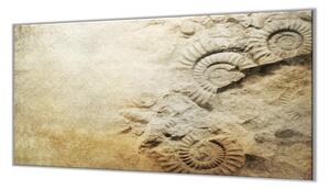 Ochranná deska vintage s fosiliemi - 40x60cm / S lepením na zeď