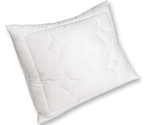 2G Lipov Polštář Lyocell-Tencel / bavlna - 50x70 cm
