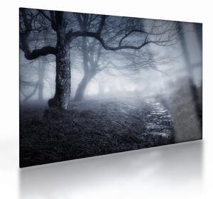 Skleněný obraz - Cesta v mlze (70x50 cm)