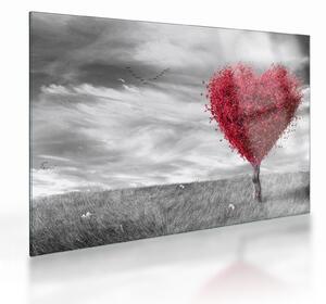 Skleněný obraz - Srdce korunou stromu (70x50 cm)