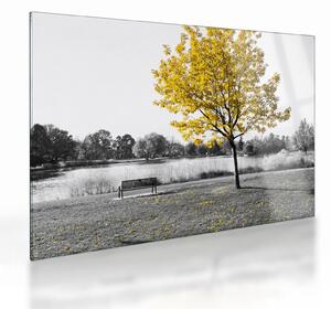 Skleněný obraz - Odpočinek v parku (70x50 cm)