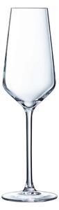 15663 Zploštělá sklenka na šampaňské a sekt Chef & Sommelier Distinction 6 kusů Sklo (230 ml)