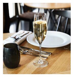 15663 Sklenka na šampaňské Chef & Sommelier Cabernet Transparentní Sklo 240 ml