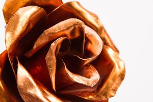 Ondracek Design Kovaná růže
