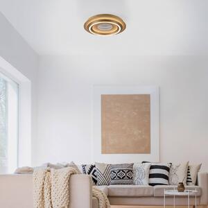 JUST LIGHT. GmbH LED stropní svítidlo Cichio, matná zlatá barva, železo, 3 000 K, Mosaz / zlato, Obývací pokoj / jídelna, kov, Moderní