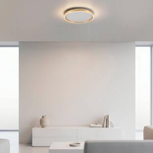 JUST LIGHT. GmbH LED stropní svítidlo Madlen, zlaté, Ø 40 cm, hliník, 3000 K, stmívatelné, stmívatelný, Mosaz / zlato, Obývací pokoj / jídelna, kov, Moderní