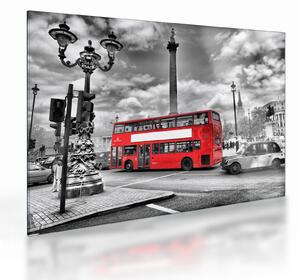 Skleněný obraz - Trafalgar Square (70x50 cm)