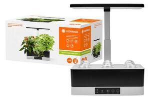 Ledvance - LED Stmívatelná interiérová lampa na rostliny GARDEN KIT LED/24W/230V