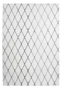 KOBEREC S VYSOKÝM VLASEM, 80/150 cm antracitová, bílá - Online Only koberce & rohožky, Online Only