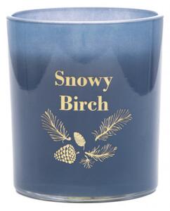 Svíčka LESLI Snowy Birch s vůní zimního lesa XM22 832432
